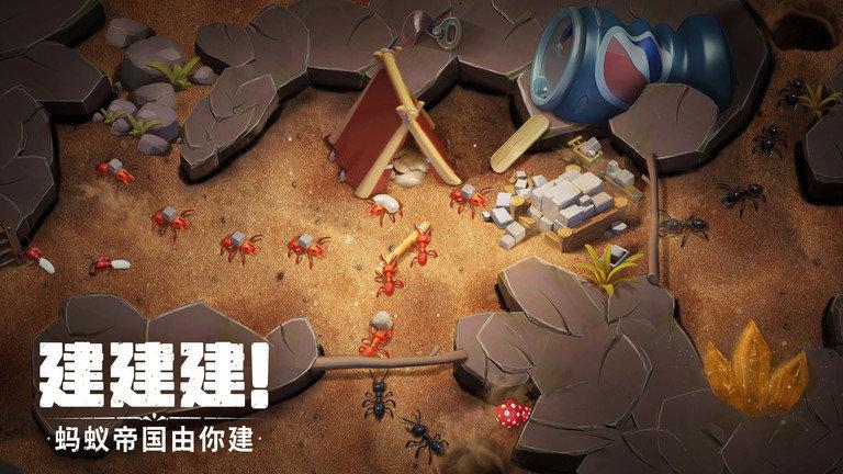 蚁族崛起国际服下载,蚁族崛起,战争手游,文明手游