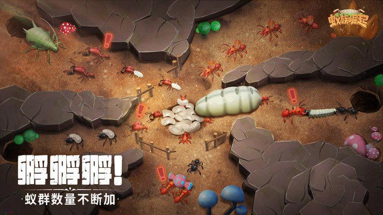 蚁族崛起国际服下载,蚁族崛起,战争手游,文明手游